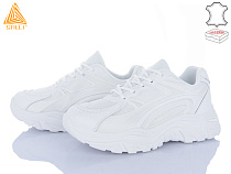 Кроссовки Stilli Group A04 шкіра піна в магазине Фонтан Обуви