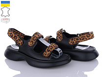 Ailinda2 879-213 в магазине Фонтан Обуви