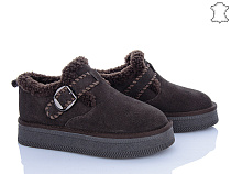 Туфли Plps-Nanachka GF2652 brown в магазине Фонтан Обуви