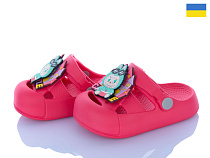 Кроксы Golden Lion 337 малиновий в магазине Фонтан Обуви