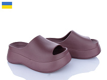 Шлепанцы Golden Lion 141 шоколад в магазине Фонтан Обуви