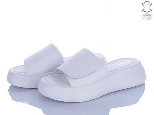 Шлепанцы Dageni F223-2 в магазине Фонтан Обуви